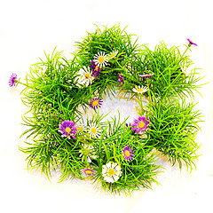 Image showing Grass wreath