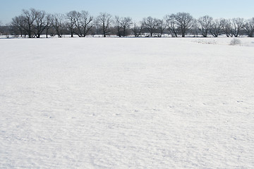 Image showing Snow field