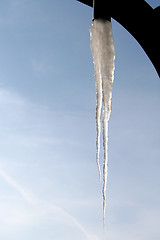 Image showing Icicle