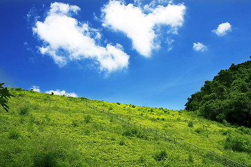 Image showing north mountains and green grass 