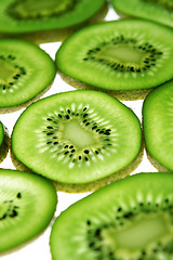 Image showing Many slices of kiwi fruit 