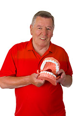 Image showing Senior with teeth model