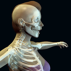 Image showing woman body with skeleton 