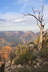 Image showing Beautiful Grand Canyon Landscape View