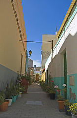 Image showing Flower street