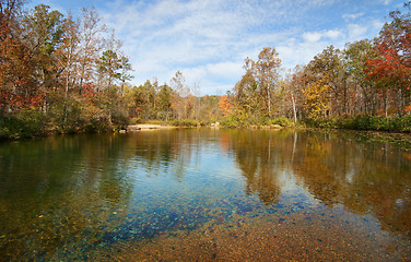 Image showing autumn leaves and trees on river