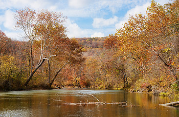 Image showing autumn leaves and trees on river