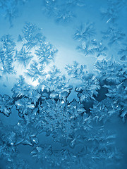 Image showing frosty natural pattern