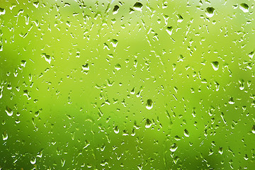 Image showing water drops on glass