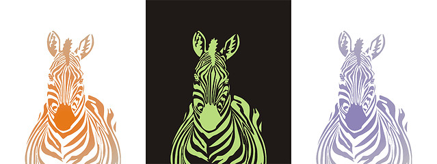 Image showing Fabulous zebra