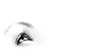 Image showing Women's eye - looking forward.Isolated on white.