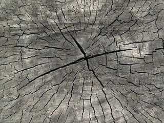 Image showing old wood texture 