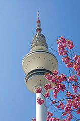 Image showing hmabug tv tower