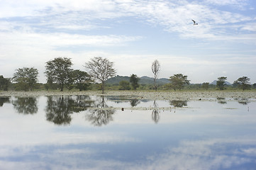 Image showing Landscape of Sri Lanka