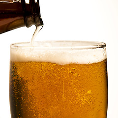 Image showing Beer