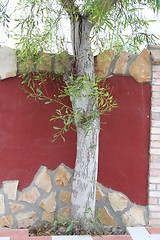 Image showing Beautiful decoration of  wall