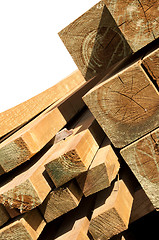 Image showing Pine wood logs