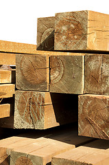 Image showing Pine wood logs