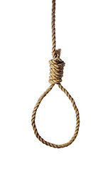 Image showing Noose