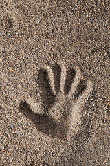 Image showing Hand print