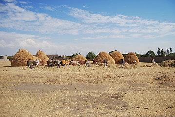 Image showing ethiopian farming