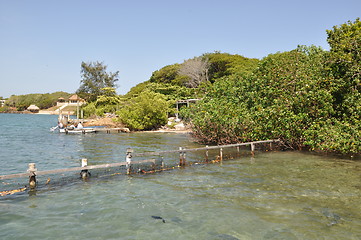 Image showing Roatan in Honduras