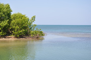 Image showing Roatan in the Honduras