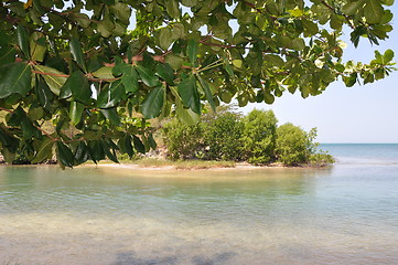 Image showing Roatan in Honduras