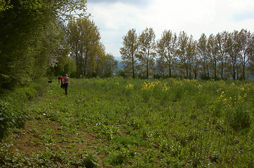 Image showing A walk in the country