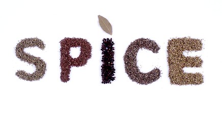 Image showing Spice