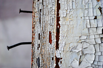 Image showing Cracked paint