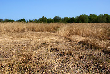 Image showing landscape