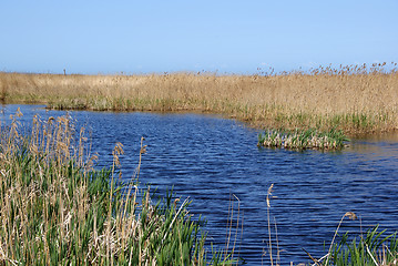 Image showing landscape