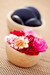 Image showing carnations and pebbles