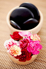 Image showing carnations and pebbles