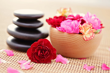 Image showing carnations and pebbles