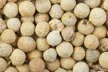 Image showing White pepper grains closeup