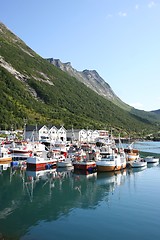 Image showing Fishing village at Lofoten