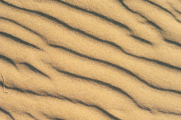 Image showing Dune texture