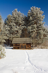 Image showing  wooden building in wood