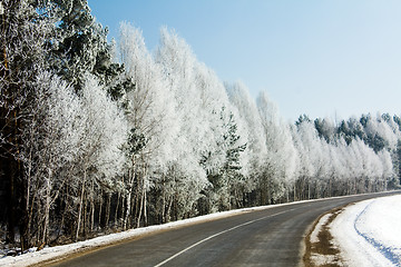 Image showing road located along wood 