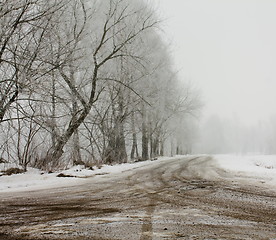 Image showing  winter season