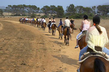 Image showing group of horse riders