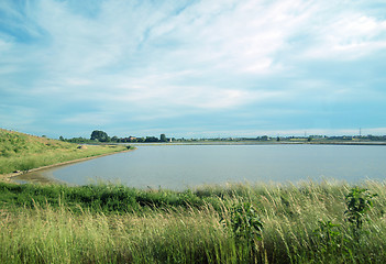 Image showing Paddy field