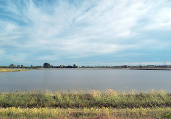 Image showing Paddy field