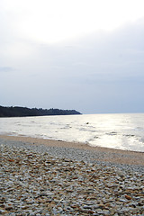 Image showing stone beach in evening