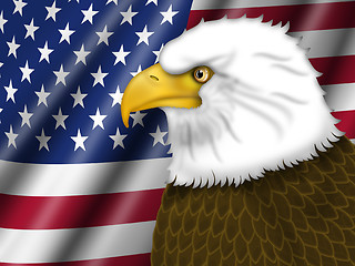 Image showing American Flag and Bald Eagle