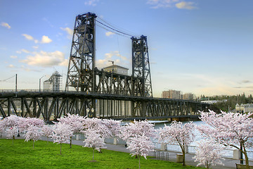 Image showing Steel Bridge and Cherry Blossom Trees in Portland Oregon