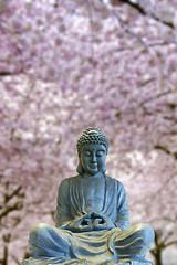 Image showing Sitting Full Body Buddha with Cherry Blossom Trees