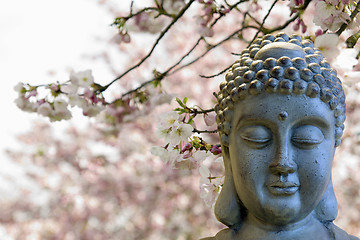Image showing Zen Buddha Meditating Under Cherry Blossom Trees